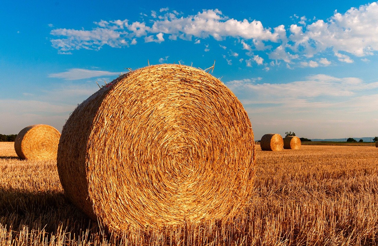 straw bales, stubble, agriculture